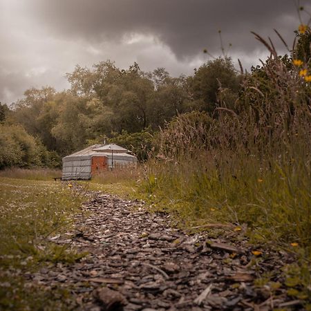 Hotel Gilfach Gower Farm Luxury Yurt With Hot Tub Ammanford Exterior foto